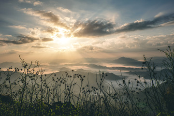 Sun rise. Mountain Phu Chi Fa Thailand.