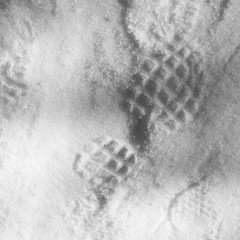 Pisada en la nieve