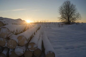 The logs in the snow