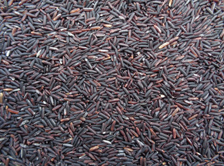 Uncooked Dark Violet Color Rice-berry Rice, Raw Rice, Background  