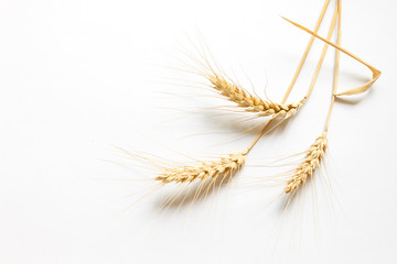 Obraz premium Hard wheat on white cardboard, close up