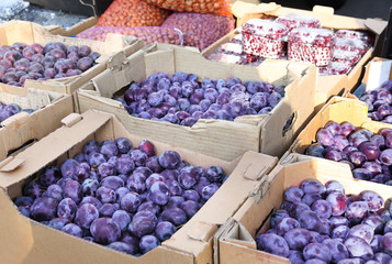 Fresh plums in cardboard boxes on market © Africa Studio