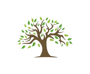 Tree logo