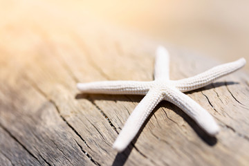 Fototapeta na wymiar starfish on wooden texture