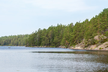 Forest lake with rocks and pine forest