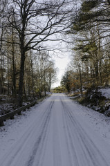 Obraz premium one road in sweden with snow
