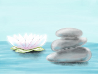 Hand drawn colorful colorful water-lily and stones, illustration by pencil