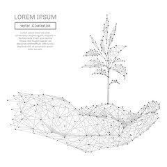 Abstract human hands holding sprout polygonal, geometry triangle. Light connection structure. Low poly vector background. Business concept