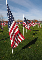 Flags of honor and gratitude