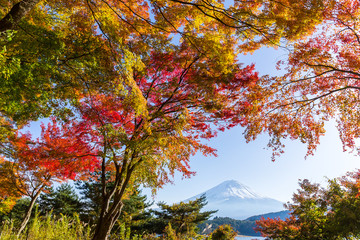 mount fuji in lake kawaguchiko