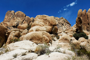 Joshua Tree National Park, Mojave Desert, California