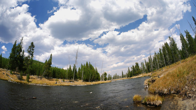 Yellowstone River through Golden Plains with Cloudy Summer Sky, Wyoming 
