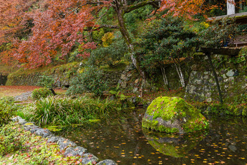 Obraz na płótnie Canvas Beautiful Japanese park