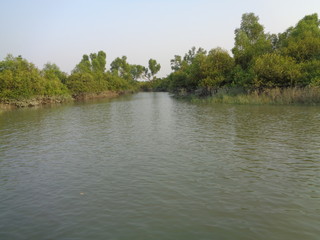Natural Beauty of Sundarban; the largest mangrove forest in the world