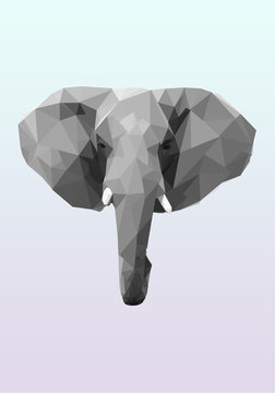Elephant portrait