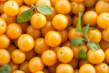 Freshness cherry plum background