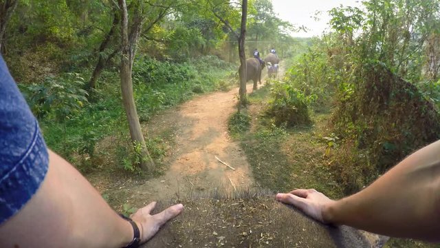 4K Top view of Asian elephant while a tourists group caucasians men ride them, walking through the trees in the beautiful forest Northern Thailand-Dan