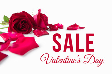 Valentines day sale message with red roses and petals on white background.