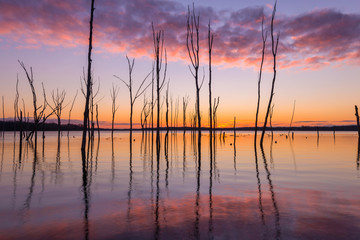 Manasquan Reservoir at dawn