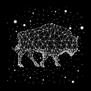 bison constellation vector art