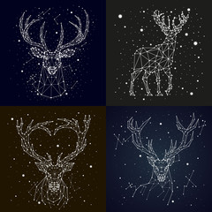 starry sky constellation deer © chikovnaya