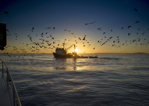Sonnenaufgang  in der Adria. Fiescherboot.
