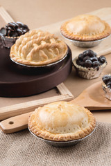 Coconut pie and chocolate mini tart on wooden background