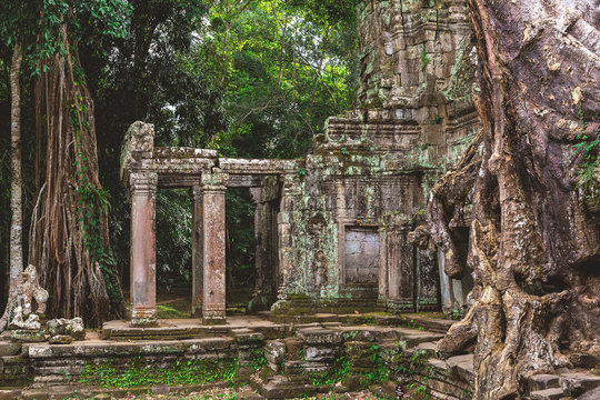Tower, huge trees and galleries in Preah Khan Temple