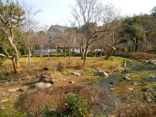 Spring in the Country. Crows.
