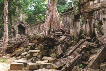 Fototapeta na wymiar Trees and galleries in Ta Prohm Temple, Cambodia.