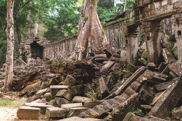 Obraz premium Trees and galleries in Ta Prohm Temple, Cambodia.