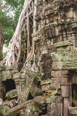 Fototapeta premium Trees and galleries in Ta Prohm Temple, Cambodia.