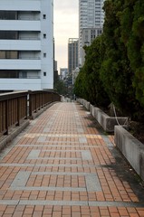 Fototapeta premium 大阪 中之島周辺の風景