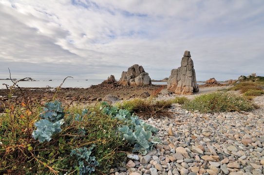 Joli paysage de la côte avec ses rochers étranges à Plougrescant en Bretagne