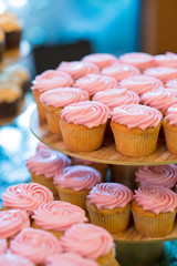 Pink Wedding Reception Cupcakes