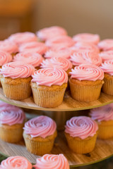 Pink Wedding Reception Cupcakes