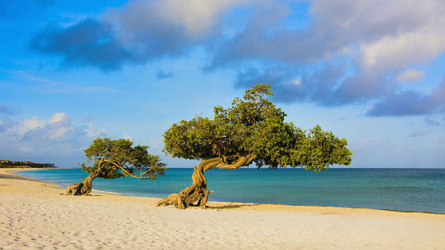 Eagle Beach Aruba