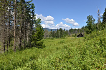 cabane de trappeur dans la montagne canadienne