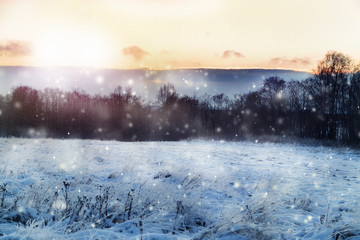 Fototapeta premium Beautiful winter landscape.