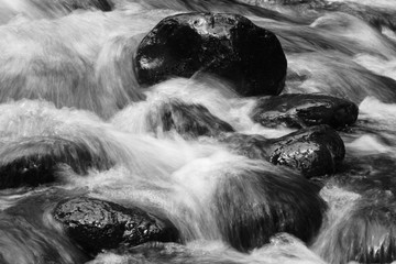 Stream