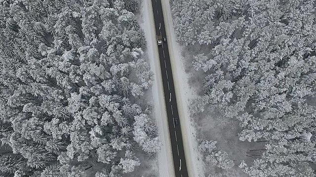 Snowy forest and cars motion on road, aerial view