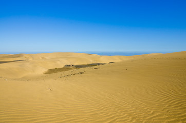 Dunes of Maspalomas