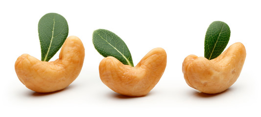 Cashew nut isolated