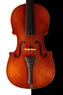 Music and elegance - Violin