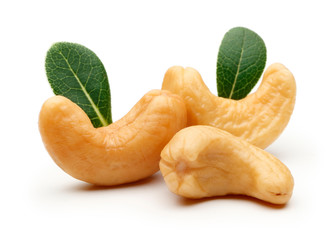 Cashew nut isolated