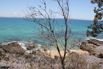 Noosa National Park
