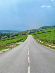 Fototapeta na wymiar Road and Vineyard in Champagne, France