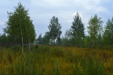Fototapeta na wymiar Fog, Belarus, Brest region, September, autumn, morning, dawn,