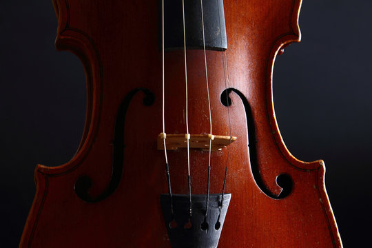 Violin - music and elegance