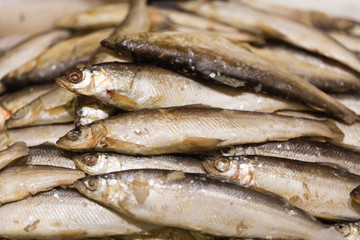 Raw smelt fish in the store